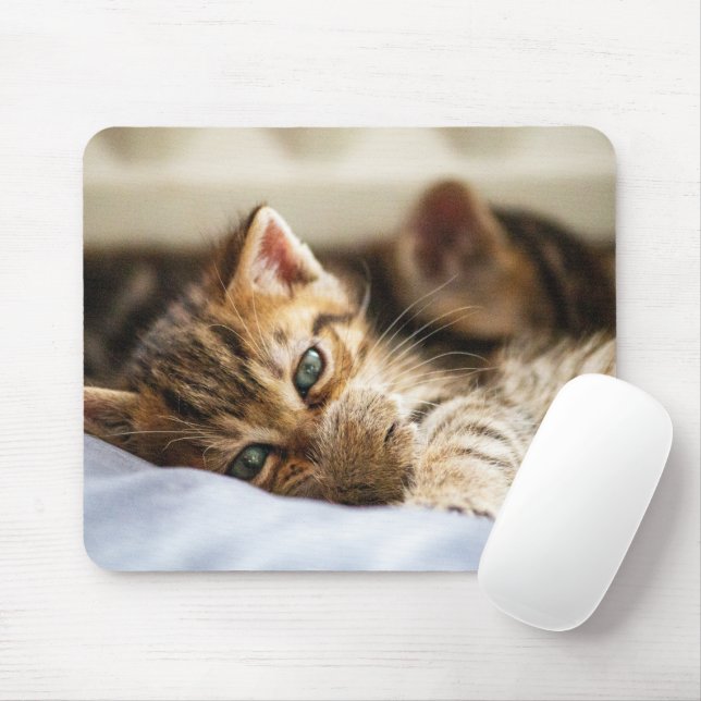 Cat Lovers Mouse Pad (With Mouse)