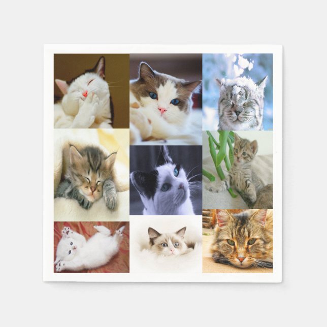 Cat Lovers Paper Napkins (Front)