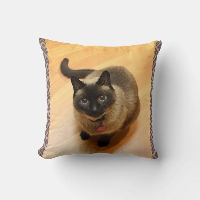 Cat Lovers Pillow (Front)