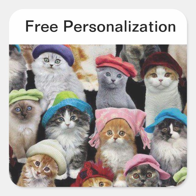 Cat Lovers Sticker Pack (Front)