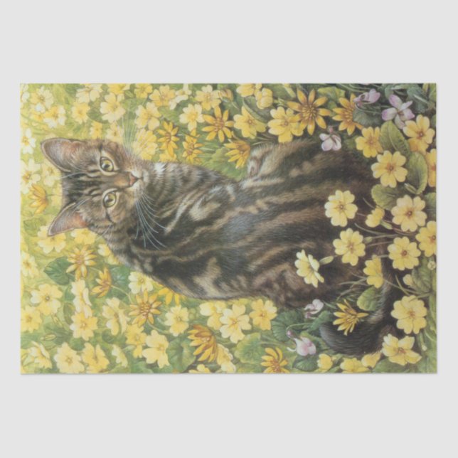 CAT LOVERS TISSUE PAPER (Front)