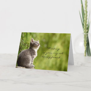 Cat loving friend thinking of you greeting card