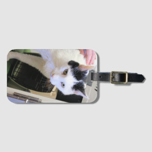 Cat luggage tag