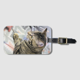 Cat  luggage tag