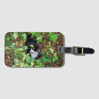 Cat Luggage Tag