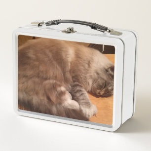 Cat Lunch Box