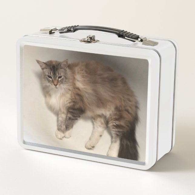 Cat Lunch Box (Front)