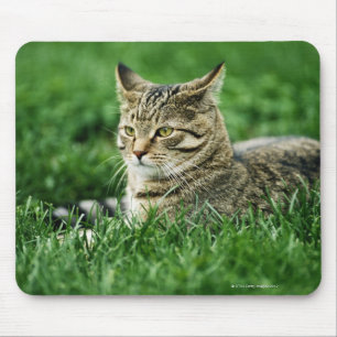Cat lying in grass mouse pad