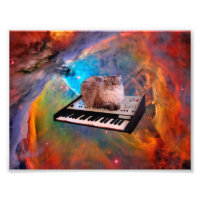 Cat lying on a keyboard in the space