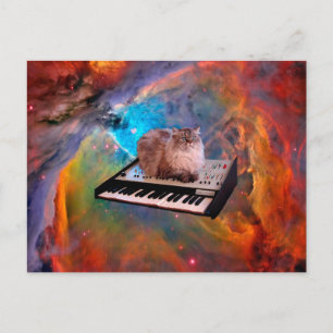 Cat lying on a keyboard in the space postcard