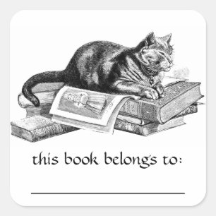 Cat Lying On Books Bookplate Stickers