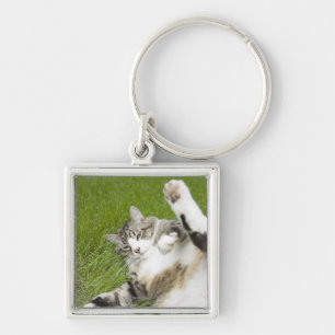 Cat lying on grass, close-up key ring