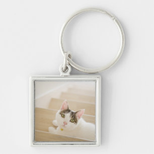 Cat lying on stairs key ring