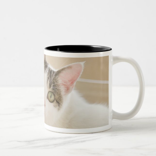 Cat lying on stairs Two-Tone coffee mug (Right)