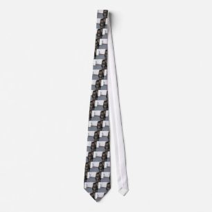 Cat Mad Tie. Tie