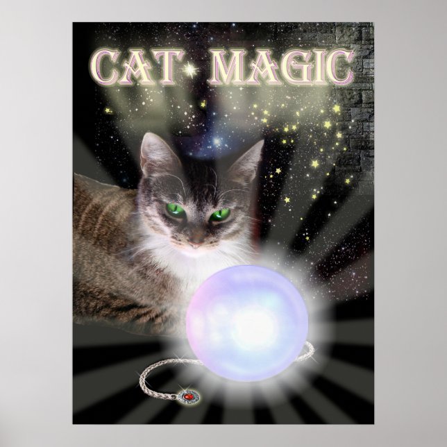 Cat Magic Poster (Front)