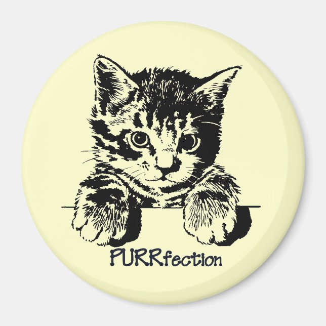Cat Magnet Purrfection (Front)