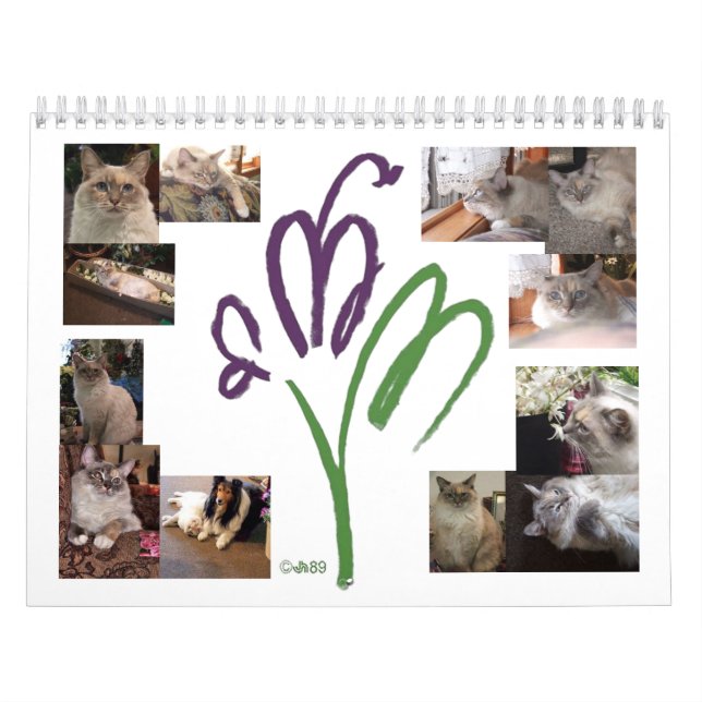 Cat Mascot Calendar (Cover)