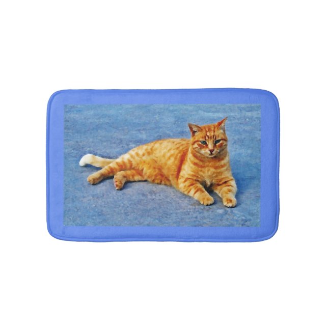 Cat Mat! Bath Mat (Front)