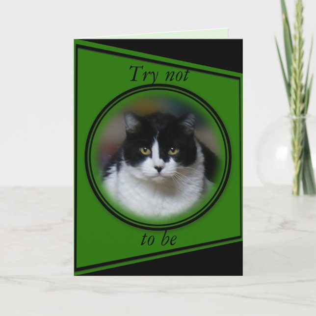 Cat, Max 1- customise for any occasion Card (Front)