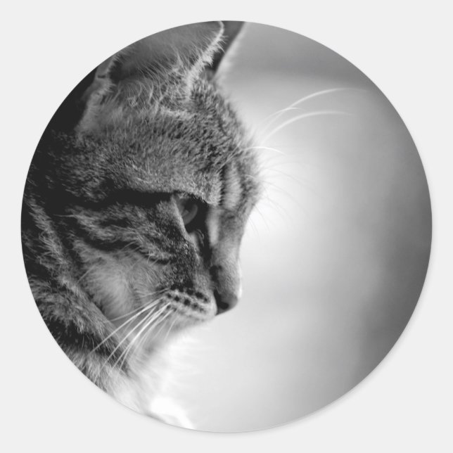 Cat Meditating Black and White Classic Round Sticker (Front)