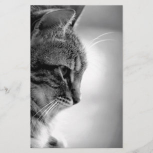 Cat Meditating Black and White Stationery