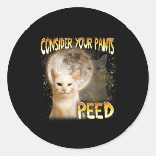 Cat Meme Cat Lover Cat Mom Funny Consider Your Pan Classic Round Sticker