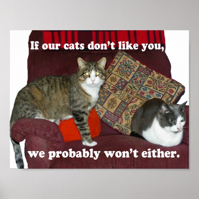 Cat Meme Poster (Front)