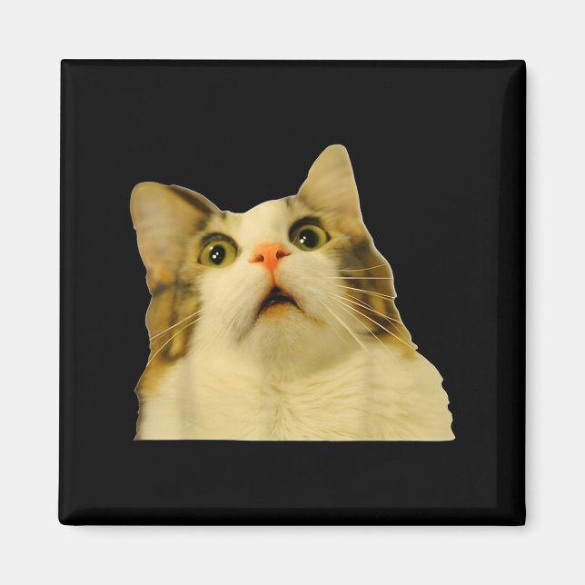 Cat Meme Shock Cat Face Funny Meme Cat Silly Gift  Magnet (Front)