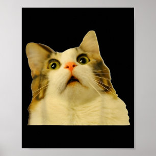 Cat Meme Shock Cat Face Funny Meme Cat Silly Gift  Poster