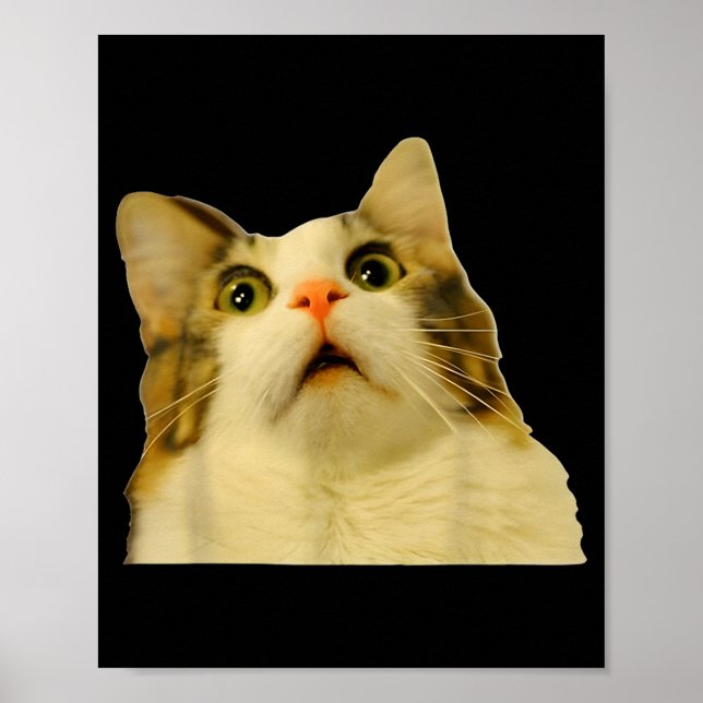 Cat Meme Shock Cat Face Funny Meme Cat Silly Gift  Poster (Front)