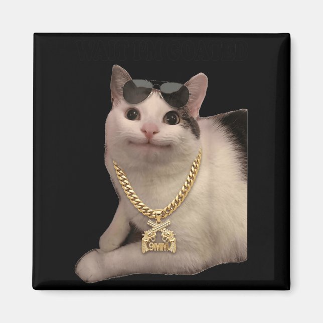 Cat Meme Silly Cat Wait Goated Funny for Gen Z Magnet (Front)