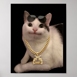 Cat Meme Silly Cat Wait Goated Funny for Gen Z Poster