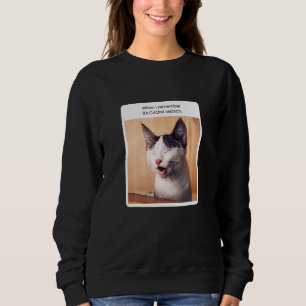 Cat Meme When I Remember Cricket Season Sweatshirt
