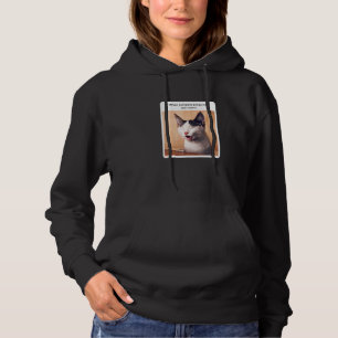 Cat Meme When Someone Brings Me Icecream Hoodie