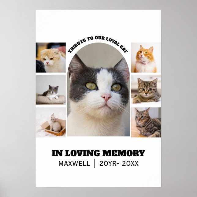 Cat Memorial 7 Photo Collage Pet Tribute Template Poster (Front)