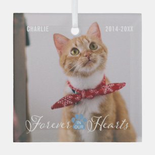 Cat Memorial Forever in our Hearts Photo and Name  Glass Tree Decoration
