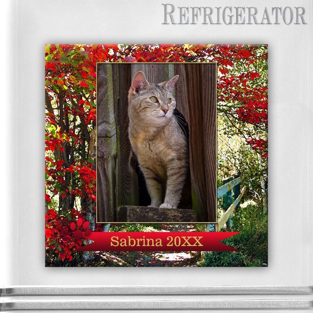 Cat Memorial or Keepsake Photo Frame Magnet (Photo magnet featuring a picture of your own cat(s) on a forest scene with colorful fall leaves)