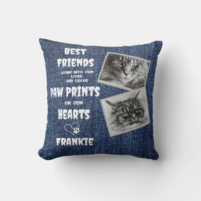 Cat Memorial Pet Loss 2 Photo Cushion (Front)