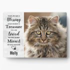 Cat Memorial Pet Loss