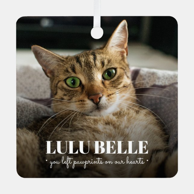 Cat Memorial Photo Metal Tree Decoration (Front)