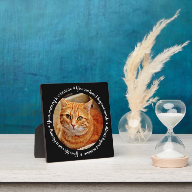 Cat Memorial Photo Plaque (Insitu)