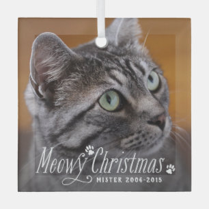 Cat Meowy Christmas Pet Memorial Photo Glass Tree Decoration