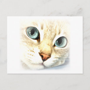 Cat mesmerEYES Postcard