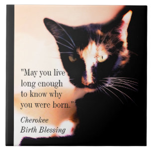 Cat Messenger Ceramic Tile