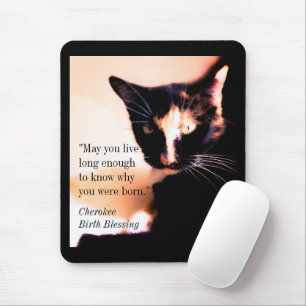 Cat Messenger Mouse Pad