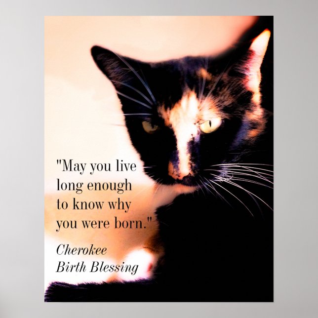 Cat Messenger Poster (Front)