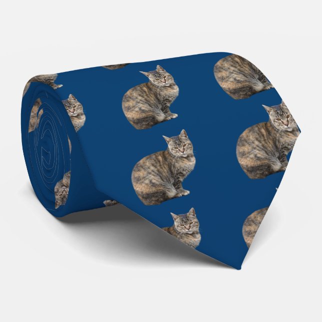 Cat (Mixed) Tie (Rolled)