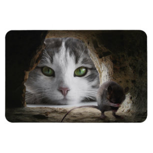 Cat & Mouse Magnet