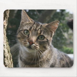 CAT MOUSE PAD